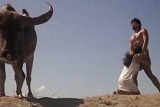 طويل الأرجل