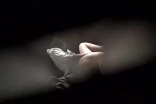 اثنان من البحارة المثيرون قصص سكس مصري يفركون كسسهم لاختبار هزات الجماع