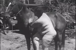 ساشا غراي قصص جنس محارم عرب نار يستمني