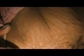 هزة الجماع من الجنس الشرجي قصص عرب محارم