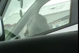 يمارس الجنس مع صديقته قصص سكس محارم عرب