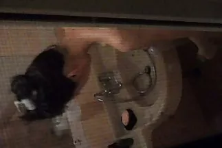 يحب قصص سيكس عربي ديك الابن.