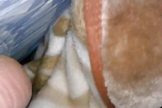 فتاة غيرلين. قصص سكس عربي نسوانجي