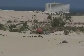 كانت العاهرة تنتظر يومين من الجحيم. قصص سكس عربي مصري