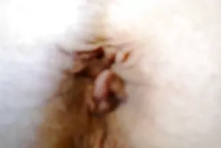 تذكرت سنواتهم قصص سكس عربي محارم المضطربة